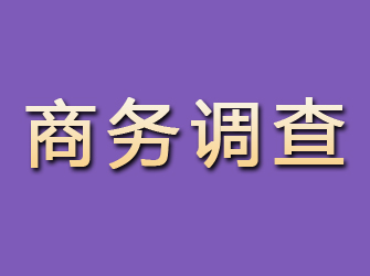 分宜商务调查